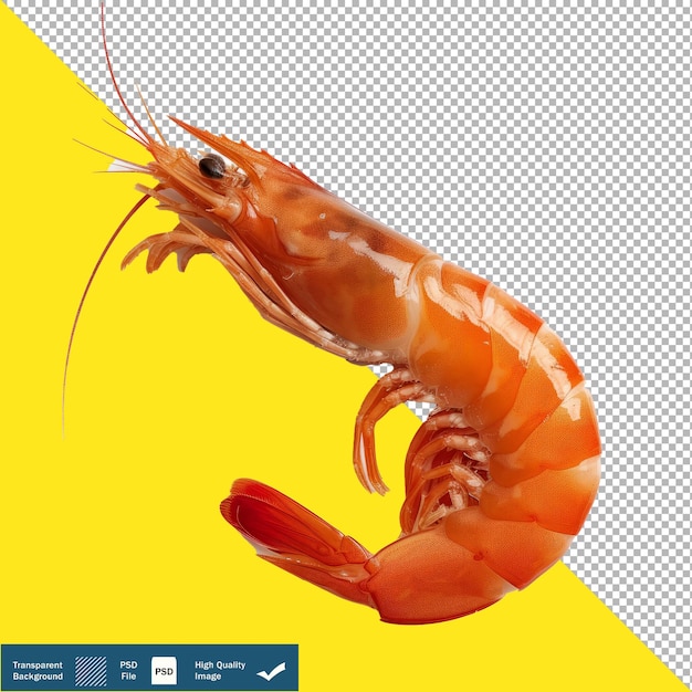 PSD 1 shrimp on white background stylized 50 vibrant illustration transparent background png psd