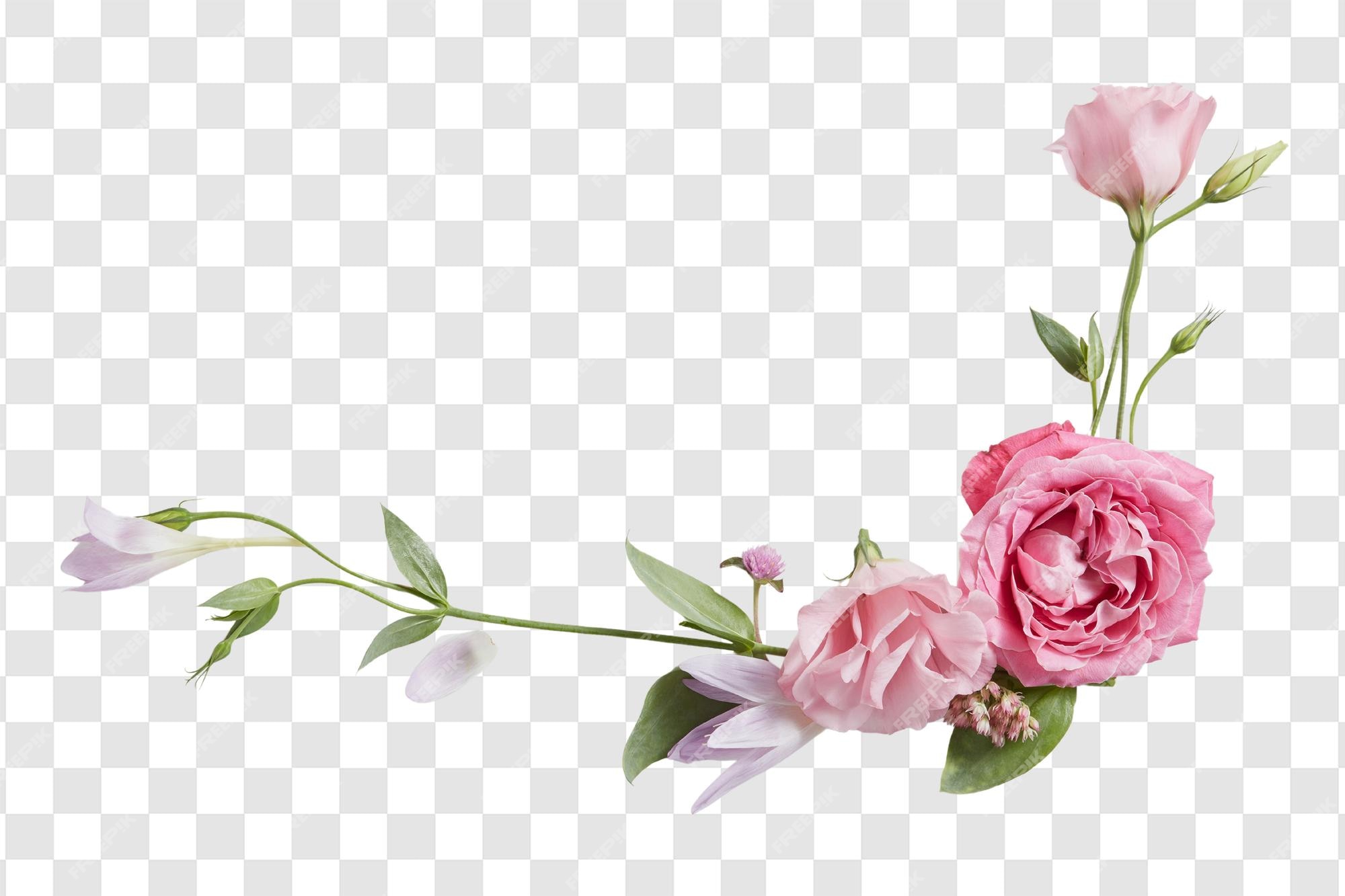 Flor Rosa Png PSD, más de 1000 Plantillas PSD gratuitas de alta calidad para descargar