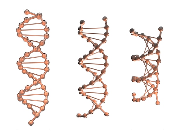 PSD 3 genetische vorm