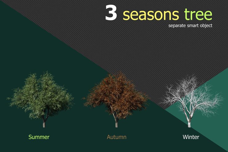 PSD 3 season set of oak tree transparent background