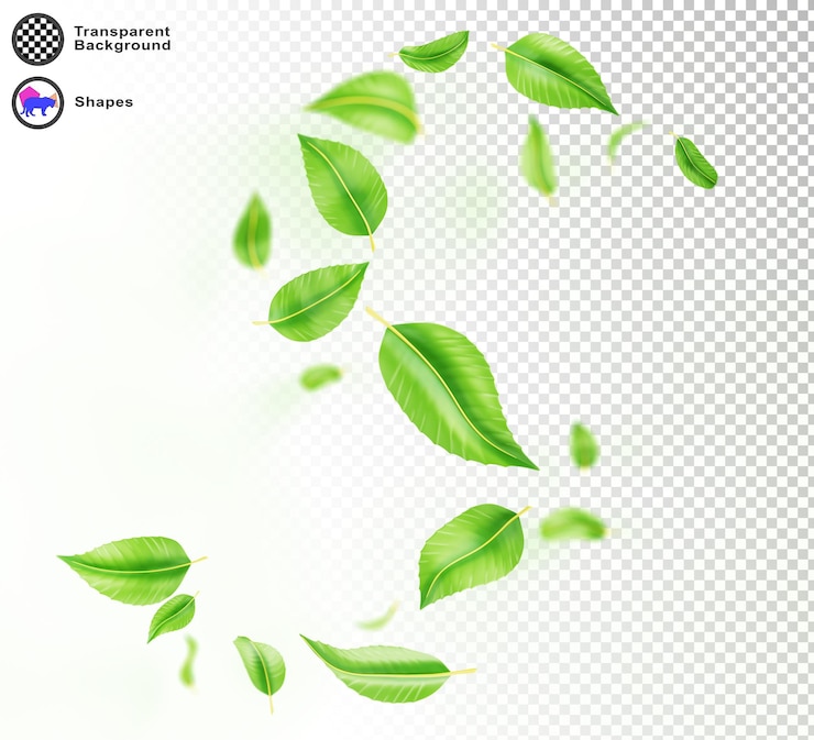 PSD 3d abstrakcyjne zielone liście wirująca linia fali spiralny efekt wiatru izolowany na białym tle przepływ świeżej mięty lub liści herbalnych liści spadających i latających w powietrzu element projektu renderowania