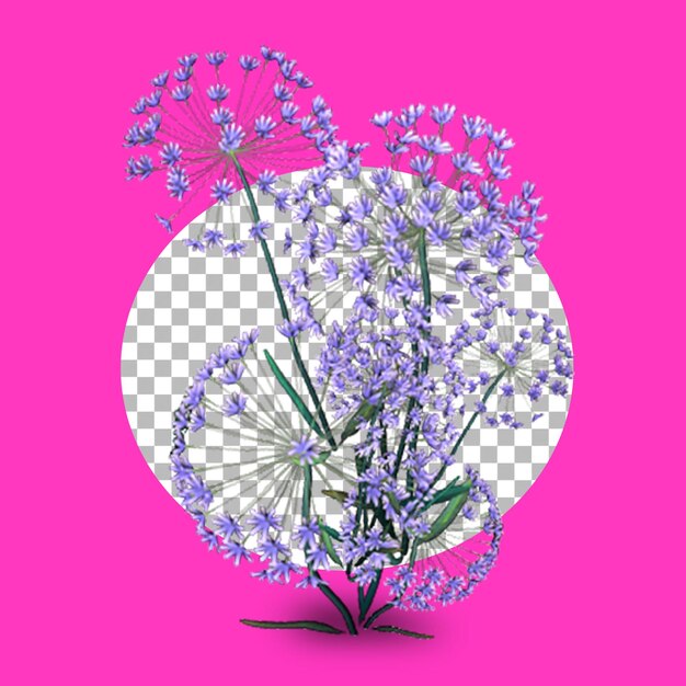 PSD 3d african lily flower isolated on transparent background