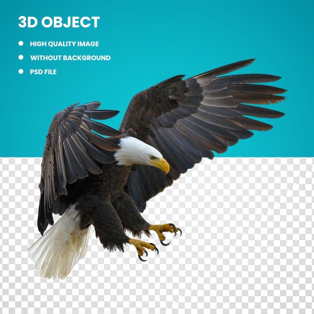 PSD 3d amerikaanse eagle-vogel