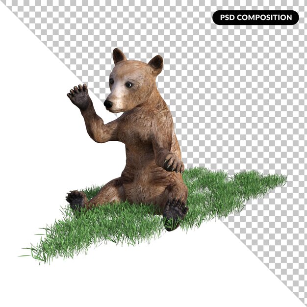 Orso 3d isolato