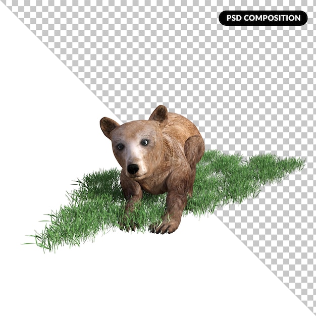 PSD 3d bear isolated