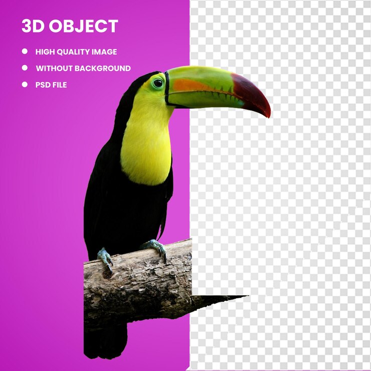 PSD 3d bird reptile macaw keel billed toucan aracari