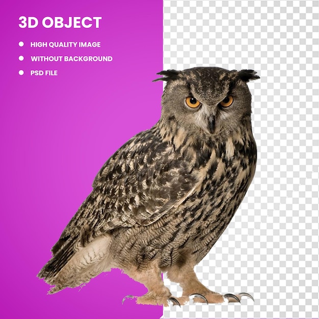 PSD 3d black and brown owl