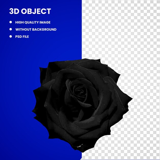 PSD rosa nera 3d