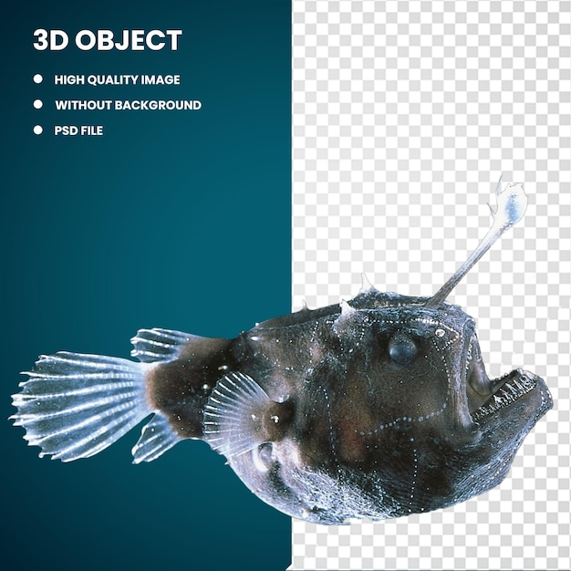 PSD 3d black seadevil deepsea anglerfishes deep sea redlipped batfish