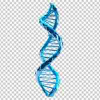 PSD 3d blue dna helix sequence element isolated on a transparent background