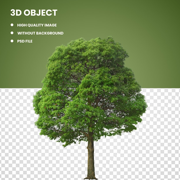 3d boom groot groen