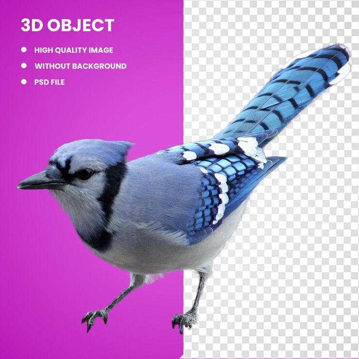 PSD 3d brown headed cowbird blue jay woodpecker