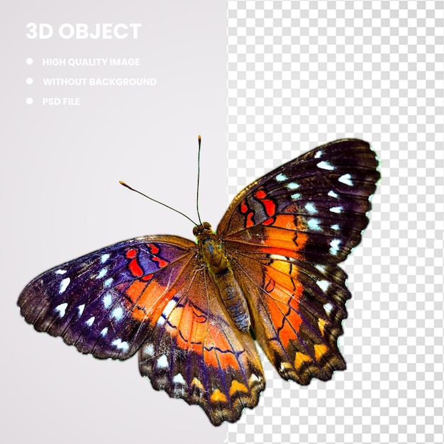 3d Злое заклинание бабочки