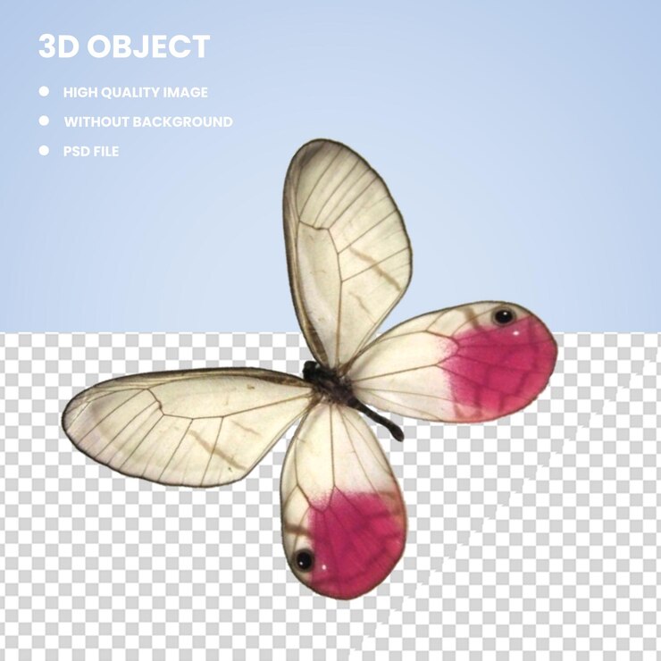 PSD 3d butterfly insect pollinator