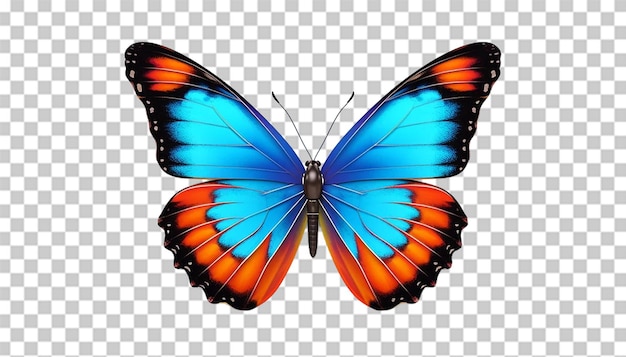 PSD 3d butterfly pngtransparente