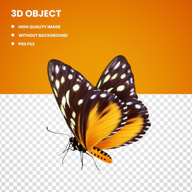 PSD 3d butterfly