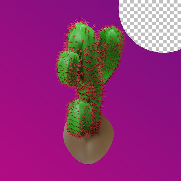 PSD cactus 3d dall'alto