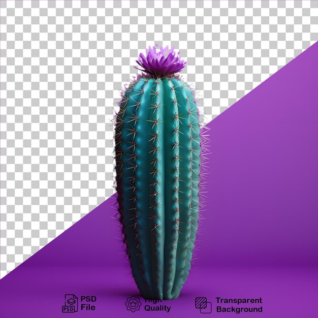 Cactus 3d su sfondo trasparente file png