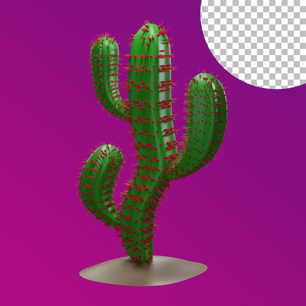 PSD cactus 3d con boccioli