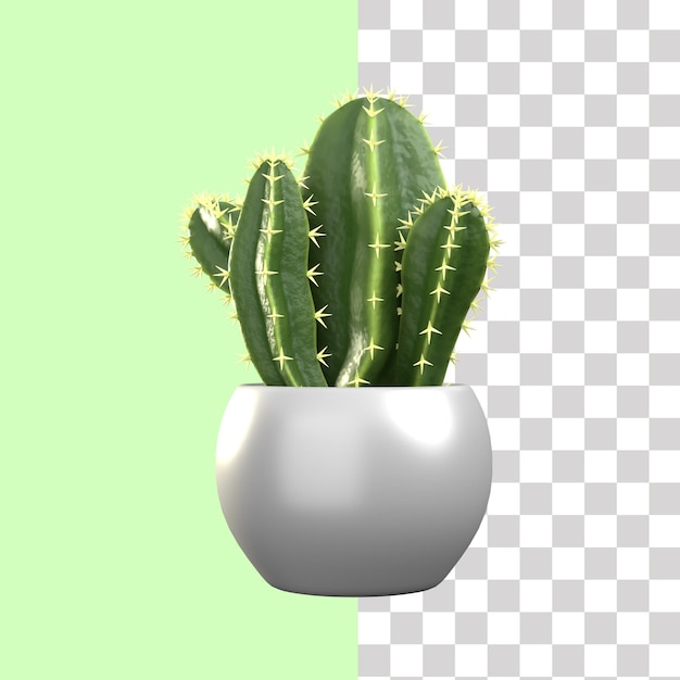 3D セレウス・テトラゴナス