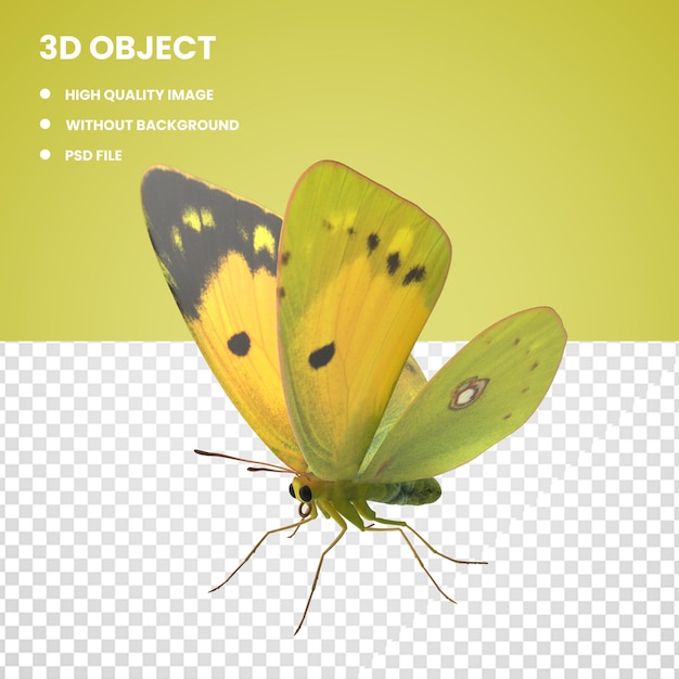 3d clouded yellow butterfly