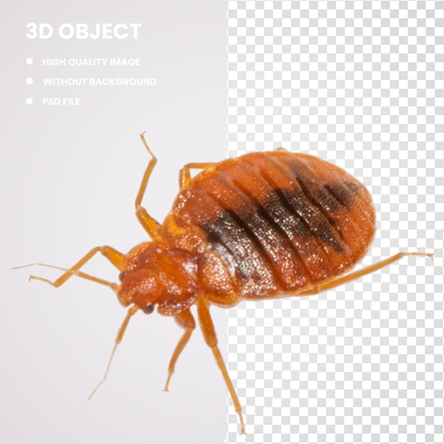 3d cockroach mosquito insect rodent bed bug