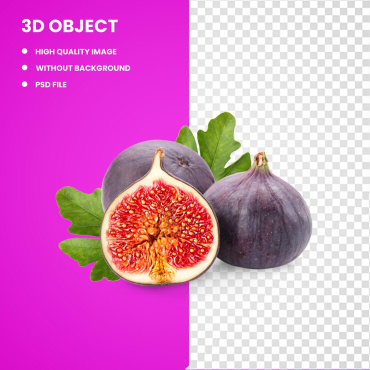 3d Common fig Fruit Fig leaf graphy Weeping fig