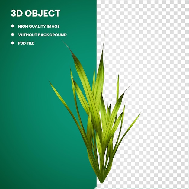 PSD 3d coral algae seaweed plant