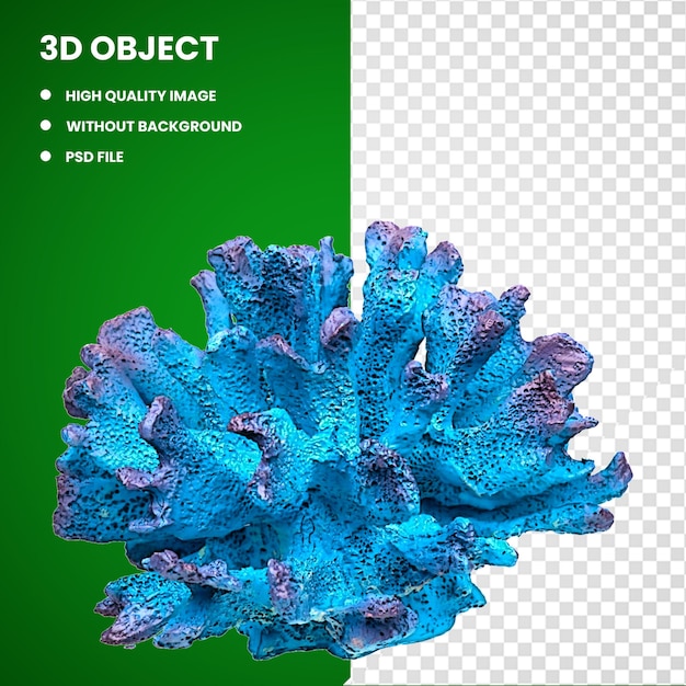 PSD 3d 산호초 무척추동물 해양 생물학