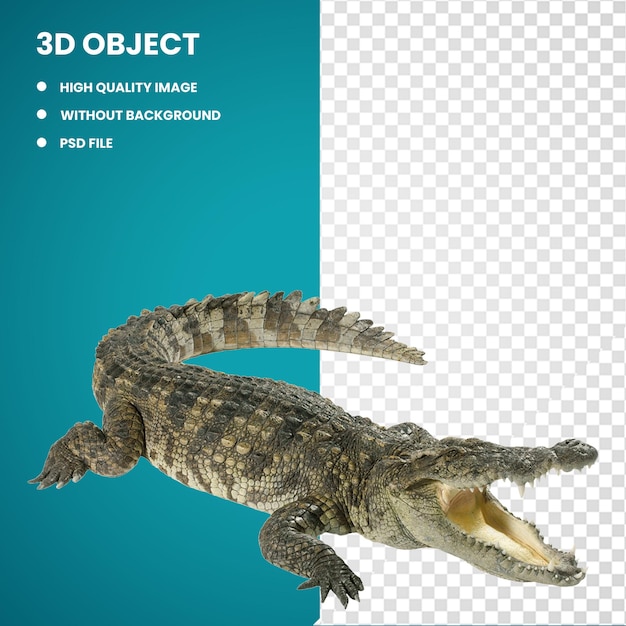 PSD 3d coccodrilli alligatore