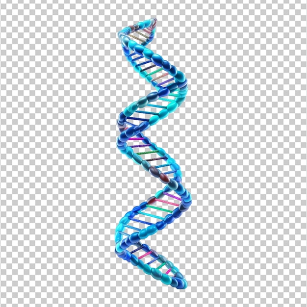 3d dna ストランド 白い背景