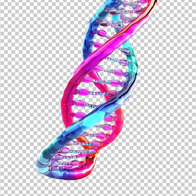 3d dna strand on white background