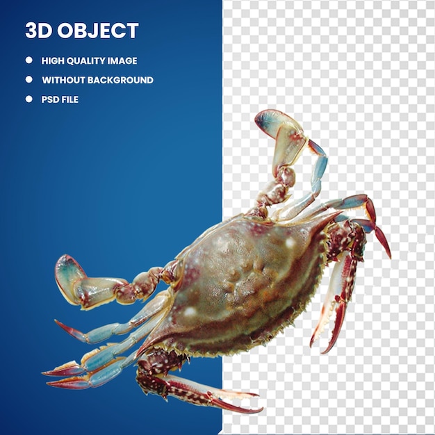 PSD 3d dungeness crab freshwater crab cangrejo