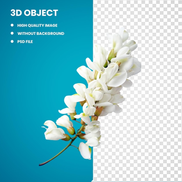 PSD 3d encapsulated postscript flower arranging white