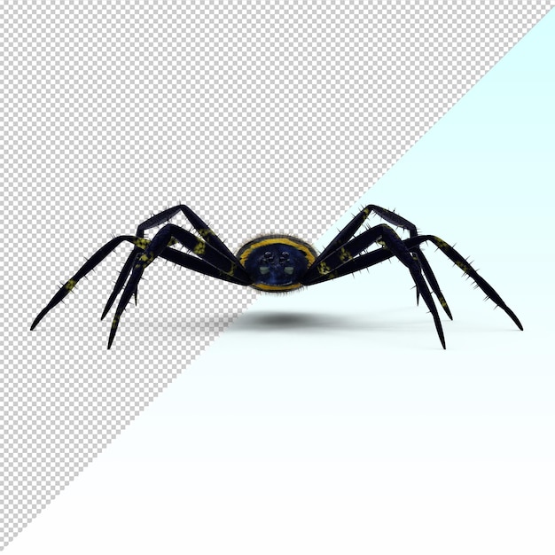 PSD 3d exotic spider isolated