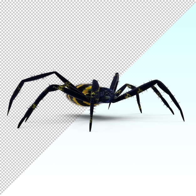 PSD 3d exotic spider isolated