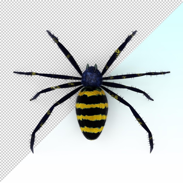 3d exotic spider isolated