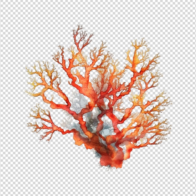 3d fan coral mockup