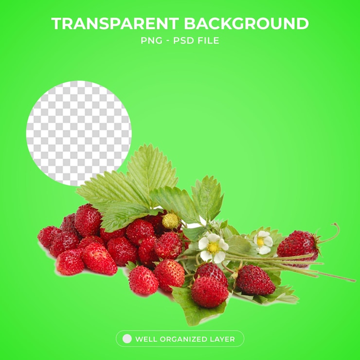 PSD 3d fragolino wild strawberry liqueur
