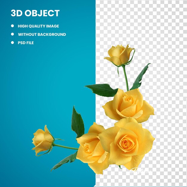 PSD 3d 정원 장미 꽃 rosa gallica 노란색