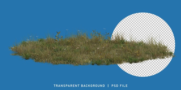 3d gerenderd realistisch groen gras woestenij met doorzichtige achtergrond