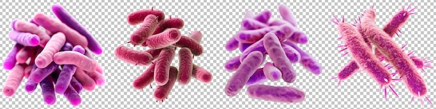 PSD 3d-gerenderde bacteriën close-up geïsoleerd op doorzichtige achtergrond