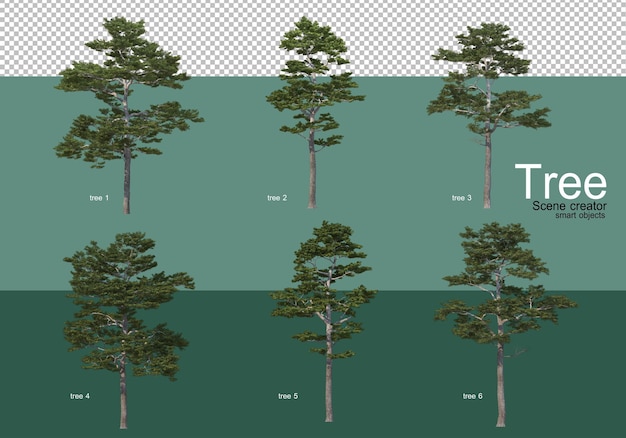 3D-gjengivelse, forskjellige typer treoppsett