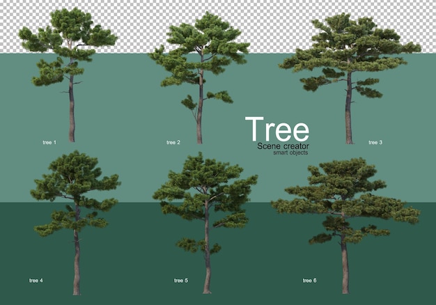 3D-gjengivelse, forskjellige typer treoppsett