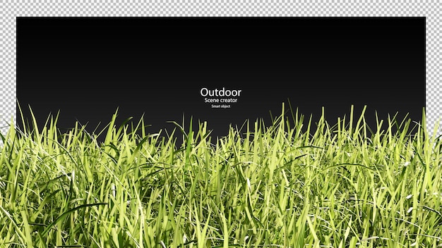 PSD 3d grass field