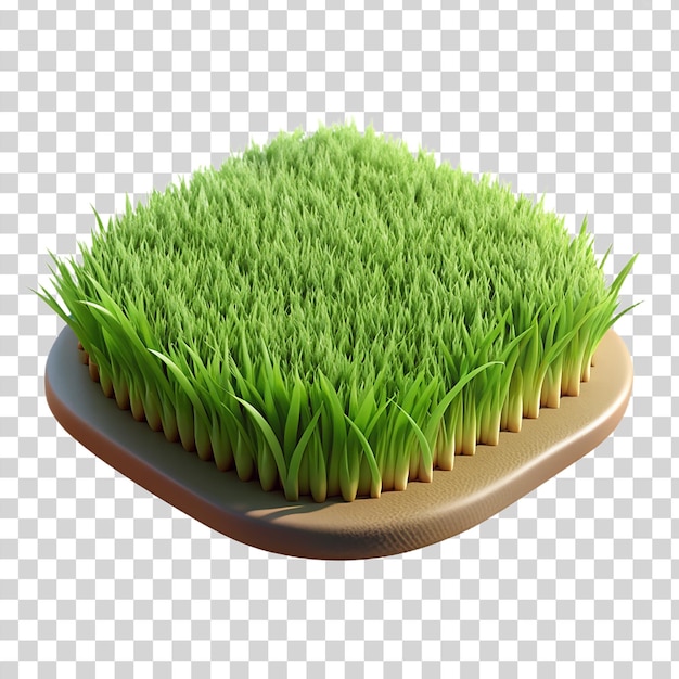 PSD 3d grass isolated on transparent background