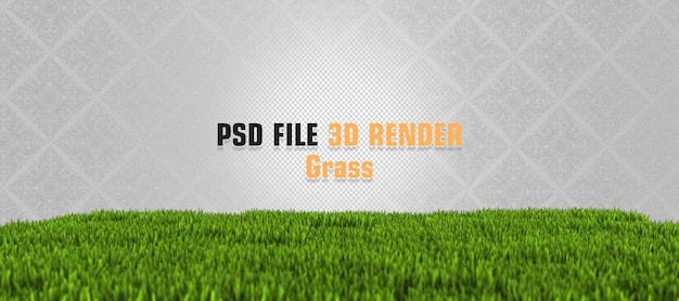 PSD 3d трава