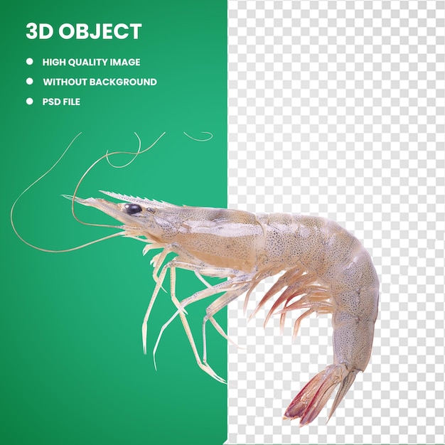 PSD 3d 灰色のエビ 中国の白いエビ エビ カリデアンエビ