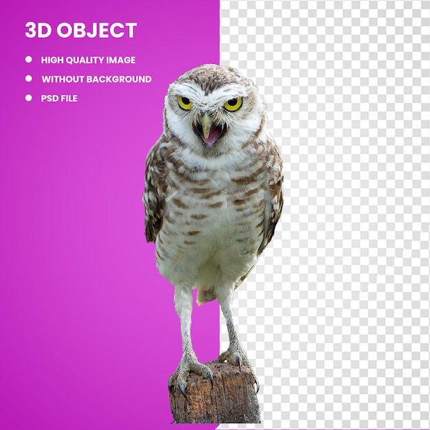 PSD 3d great horned owl bird the barn owl snowy owl