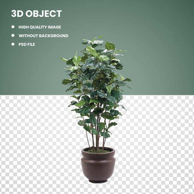 3d green leafed plant